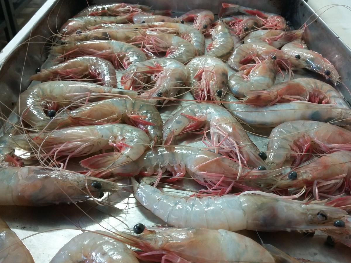 Pousada Chef Brasil Barra Velha  Luaran gambar