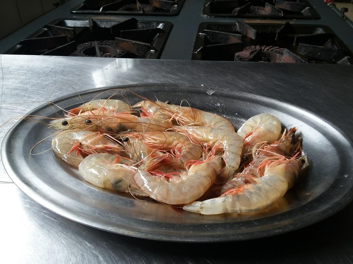 Pousada Chef Brasil Barra Velha  Luaran gambar